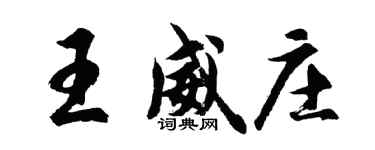 胡问遂王威庄行书个性签名怎么写