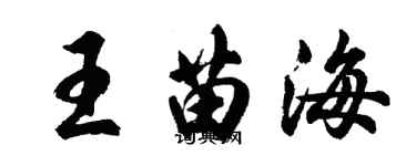 胡问遂王苗海行书个性签名怎么写