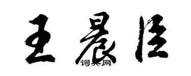 胡问遂王晨臣行书个性签名怎么写