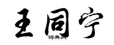 胡问遂王同宁行书个性签名怎么写