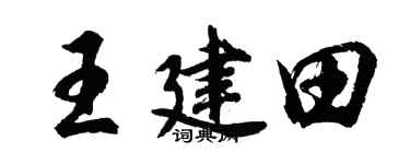 胡问遂王建田行书个性签名怎么写