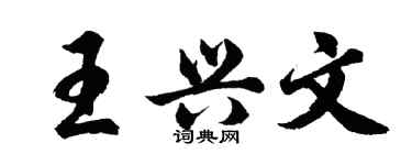 胡问遂王兴文行书个性签名怎么写