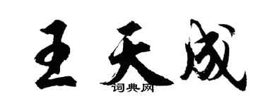 胡问遂王天成行书个性签名怎么写