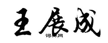 胡问遂王展成行书个性签名怎么写