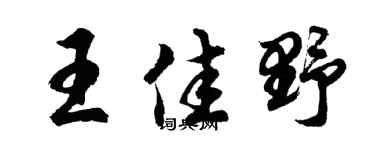 胡问遂王佳野行书个性签名怎么写