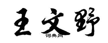 胡问遂王文野行书个性签名怎么写