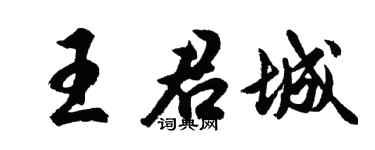 胡问遂王君城行书个性签名怎么写