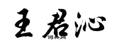 胡问遂王君沁行书个性签名怎么写