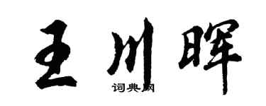 胡问遂王川晖行书个性签名怎么写