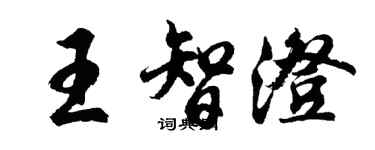 胡问遂王智澄行书个性签名怎么写