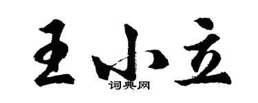 胡问遂王小立行书个性签名怎么写