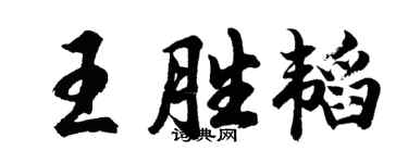 胡问遂王胜韬行书个性签名怎么写