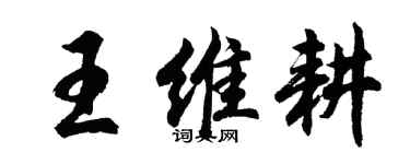 胡问遂王维耕行书个性签名怎么写