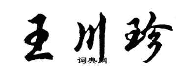 胡问遂王川珍行书个性签名怎么写