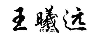 胡问遂王曦远行书个性签名怎么写