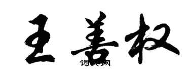 胡问遂王善权行书个性签名怎么写