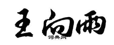胡问遂王向雨行书个性签名怎么写