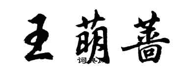 胡问遂王萌蔷行书个性签名怎么写