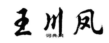 胡问遂王川凤行书个性签名怎么写