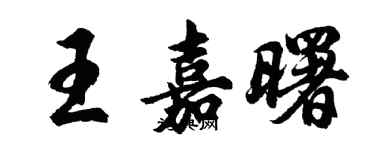 胡问遂王嘉曙行书个性签名怎么写