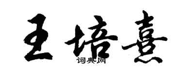 胡问遂王培熹行书个性签名怎么写