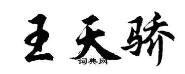 胡问遂王天骄行书个性签名怎么写