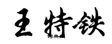 胡问遂王特铁行书个性签名怎么写