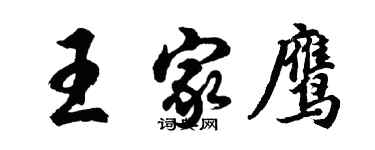 胡问遂王家鹰行书个性签名怎么写
