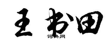 胡问遂王书田行书个性签名怎么写