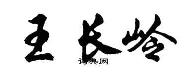 胡问遂王长岭行书个性签名怎么写