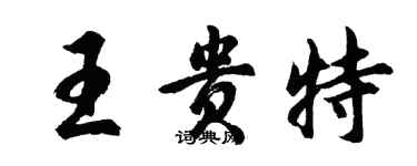 胡问遂王贵特行书个性签名怎么写
