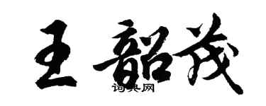 胡问遂王韶茂行书个性签名怎么写