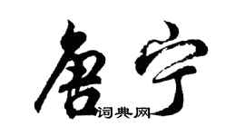 胡问遂唐宁行书个性签名怎么写