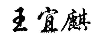 胡问遂王宜麒行书个性签名怎么写