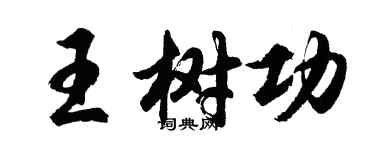 胡问遂王树功行书个性签名怎么写