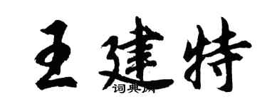 胡问遂王建特行书个性签名怎么写