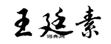 胡问遂王廷素行书个性签名怎么写