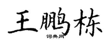 丁谦王鹏栋楷书个性签名怎么写