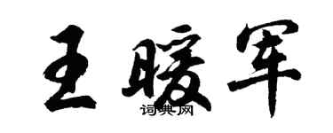 胡问遂王暖军行书个性签名怎么写