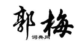 胡问遂郭梅行书个性签名怎么写