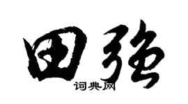 胡问遂田强行书个性签名怎么写