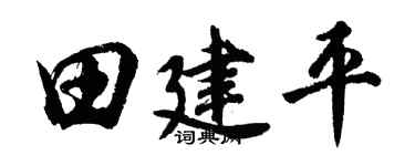 胡问遂田建平行书个性签名怎么写