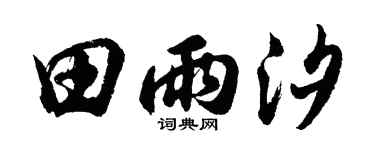 胡问遂田雨汐行书个性签名怎么写