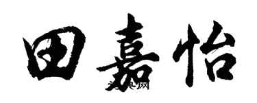 胡问遂田嘉怡行书个性签名怎么写