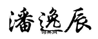 胡问遂潘逸辰行书个性签名怎么写