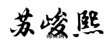 胡问遂苏峻熙行书个性签名怎么写