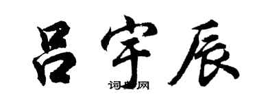 胡问遂吕宇辰行书个性签名怎么写