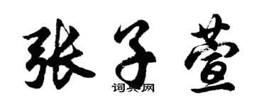 胡问遂张子萱行书个性签名怎么写