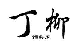 胡问遂丁柳行书个性签名怎么写