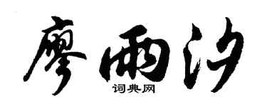 胡问遂廖雨汐行书个性签名怎么写